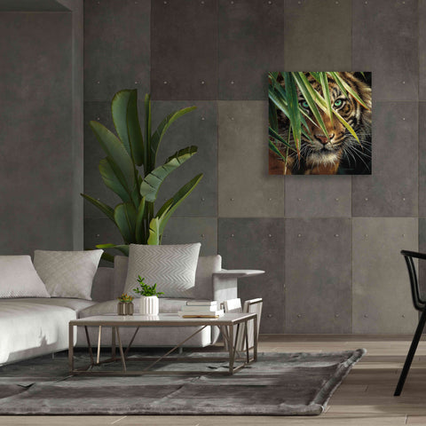 Image of 'Tiger Eyes' by Collin Bogle, Canvas Wall Art,37x37