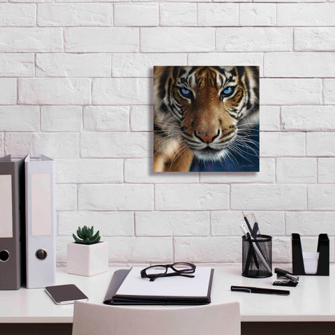 Image of 'Blue Eyes' by Collin Bogle, Canvas Wall Art,12x12