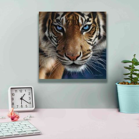 Image of 'Blue Eyes' by Collin Bogle, Canvas Wall Art,12x12