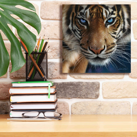 Image of 'Blue Eyes' by Collin Bogle, Canvas Wall Art,12x12