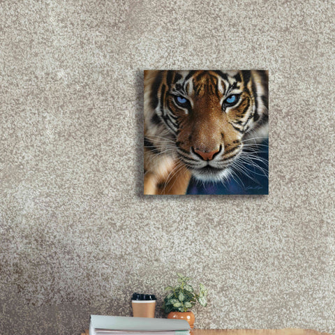 Image of 'Blue Eyes' by Collin Bogle, Canvas Wall Art,18x18