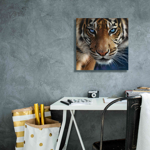 Image of 'Blue Eyes' by Collin Bogle, Canvas Wall Art,18x18