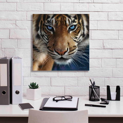 Image of 'Blue Eyes' by Collin Bogle, Canvas Wall Art,18x18