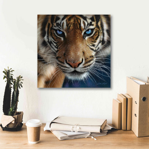 Image of 'Blue Eyes' by Collin Bogle, Canvas Wall Art,18x18