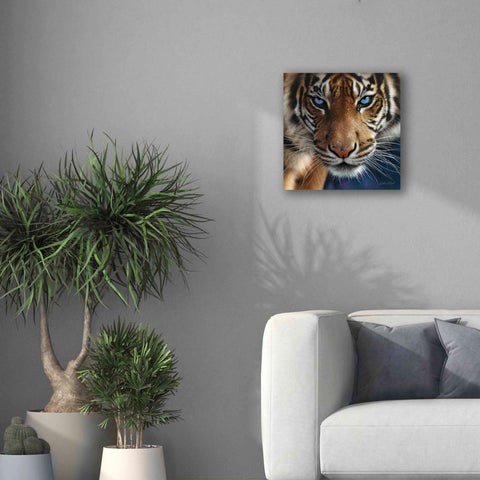 Image of 'Blue Eyes' by Collin Bogle, Canvas Wall Art,18x18