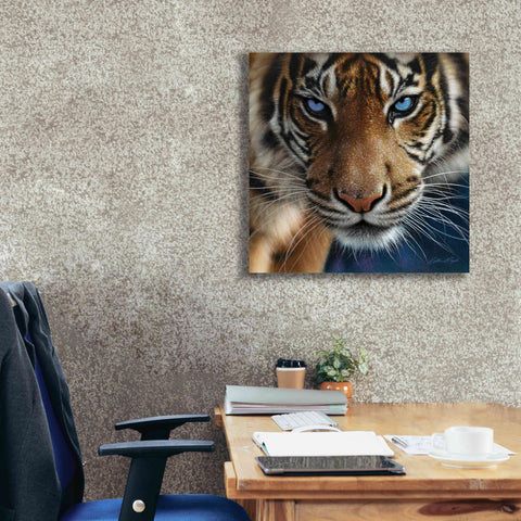 Image of 'Blue Eyes' by Collin Bogle, Canvas Wall Art,26x26
