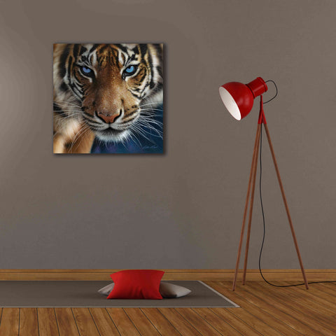 Image of 'Blue Eyes' by Collin Bogle, Canvas Wall Art,26x26