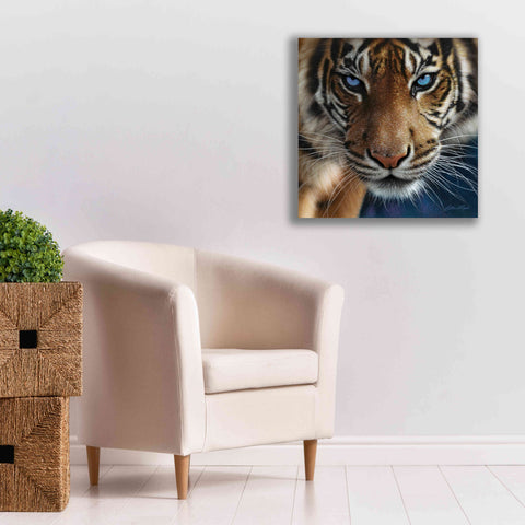 Image of 'Blue Eyes' by Collin Bogle, Canvas Wall Art,26x26