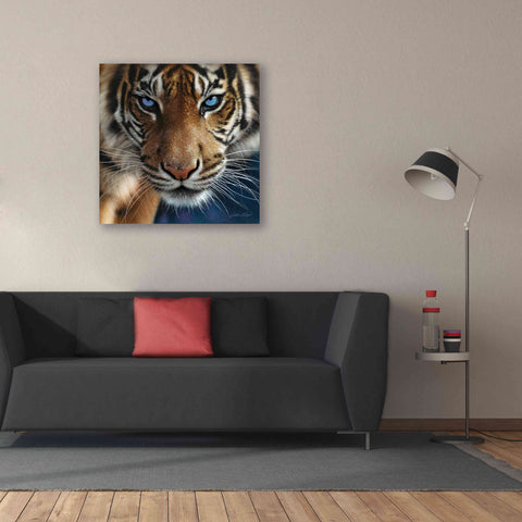 Image of 'Blue Eyes' by Collin Bogle, Canvas Wall Art,37x37