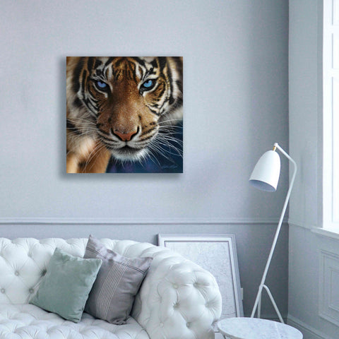 Image of 'Blue Eyes' by Collin Bogle, Canvas Wall Art,37x37
