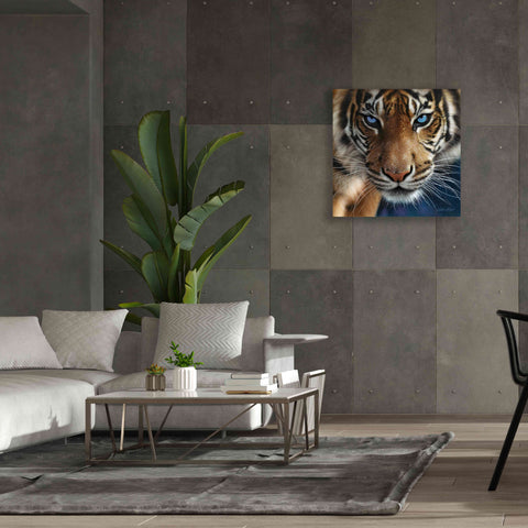 Image of 'Blue Eyes' by Collin Bogle, Canvas Wall Art,37x37