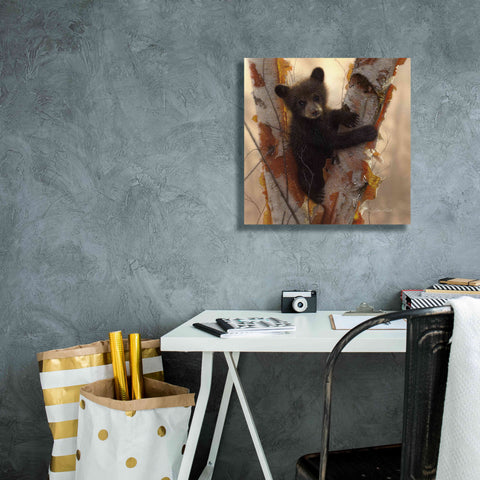 Image of 'Curious Cub I' by Collin Bogle, Canvas Wall Art,18x18