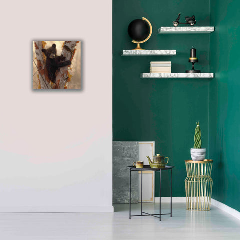 Image of 'Curious Cub I' by Collin Bogle, Canvas Wall Art,18x18