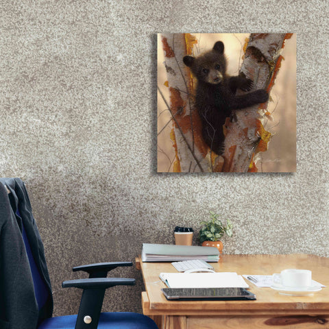 Image of 'Curious Cub I' by Collin Bogle, Canvas Wall Art,26x26