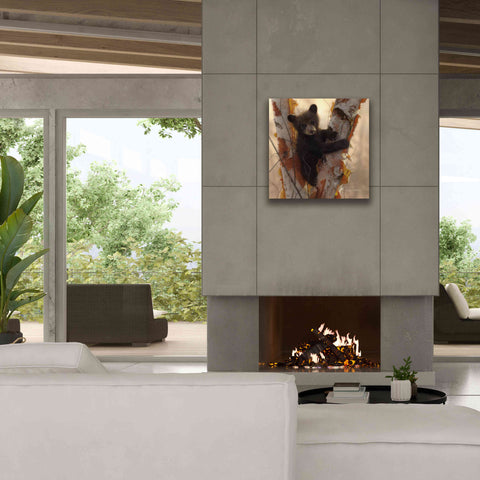 Image of 'Curious Cub I' by Collin Bogle, Canvas Wall Art,26x26