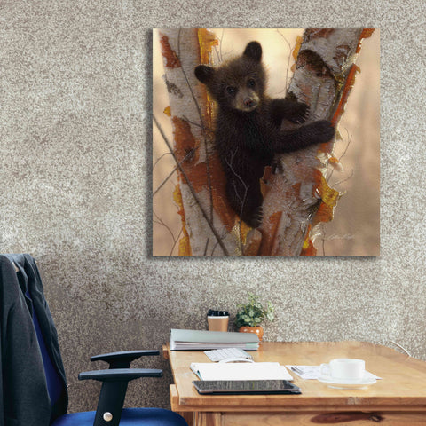 Image of 'Curious Cub I' by Collin Bogle, Canvas Wall Art,37x37