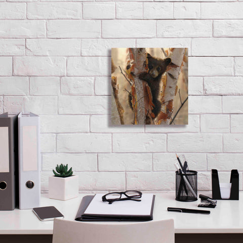 Image of 'Curious Cub II' by Collin Bogle, Canvas Wall Art,12x12