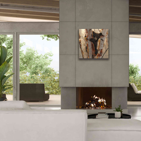 Image of 'Curious Cub II' by Collin Bogle, Canvas Wall Art,26x26