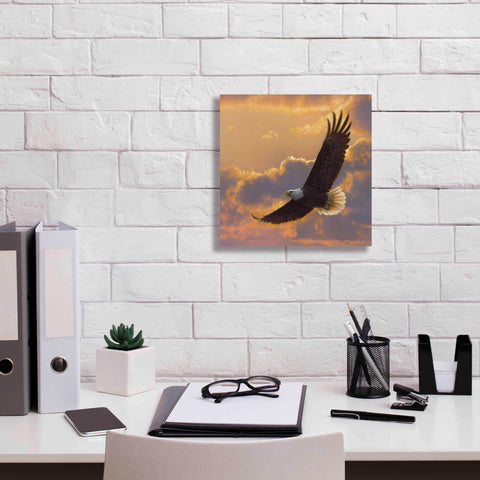 Image of 'Soaring Spirit' by Collin Bogle, Canvas Wall Art,12x12