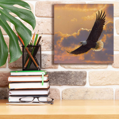 Image of 'Soaring Spirit' by Collin Bogle, Canvas Wall Art,12x12