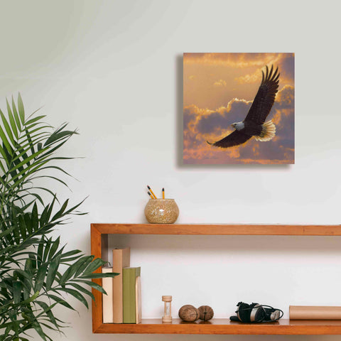 Image of 'Soaring Spirit' by Collin Bogle, Canvas Wall Art,12x12