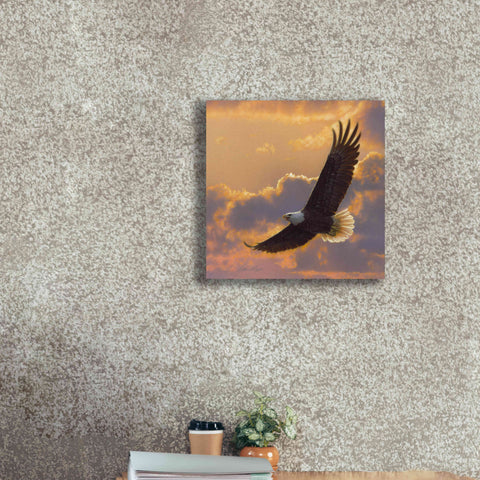 Image of 'Soaring Spirit' by Collin Bogle, Canvas Wall Art,18x18