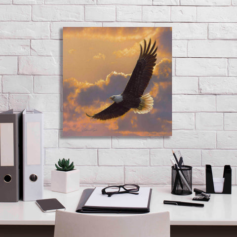 Image of 'Soaring Spirit' by Collin Bogle, Canvas Wall Art,18x18