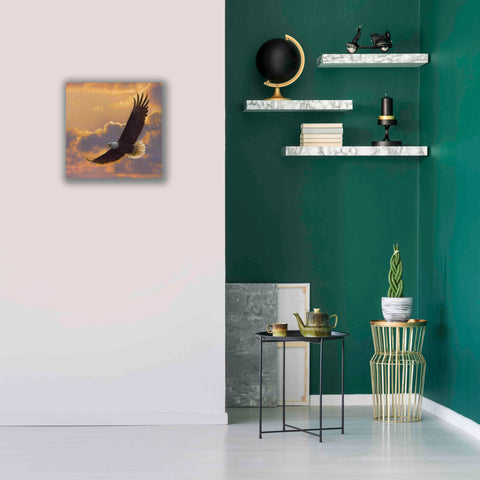 Image of 'Soaring Spirit' by Collin Bogle, Canvas Wall Art,18x18