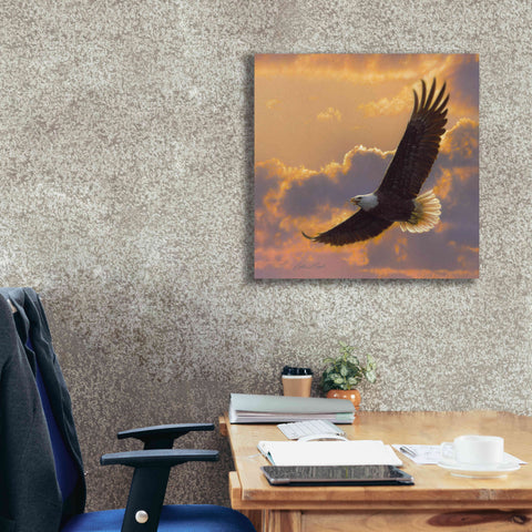Image of 'Soaring Spirit' by Collin Bogle, Canvas Wall Art,26x26