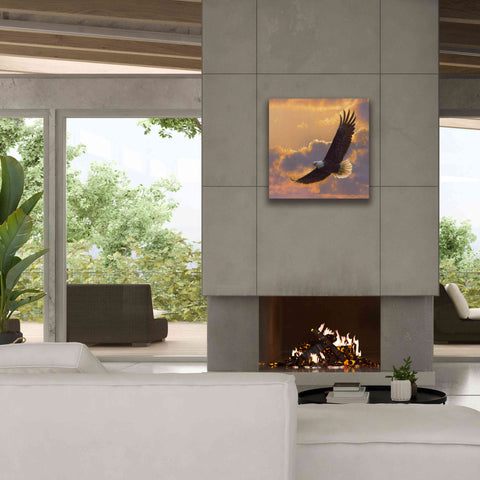 Image of 'Soaring Spirit' by Collin Bogle, Canvas Wall Art,26x26