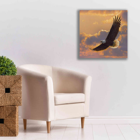 Image of 'Soaring Spirit' by Collin Bogle, Canvas Wall Art,26x26