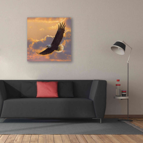 Image of 'Soaring Spirit' by Collin Bogle, Canvas Wall Art,37x37