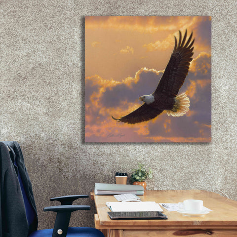 Image of 'Soaring Spirit' by Collin Bogle, Canvas Wall Art,37x37