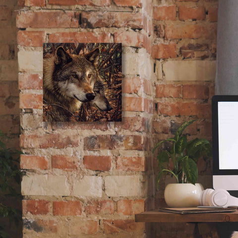 Image of 'Colors of Autumn' by Collin Bogle, Canvas Wall Art,12x12