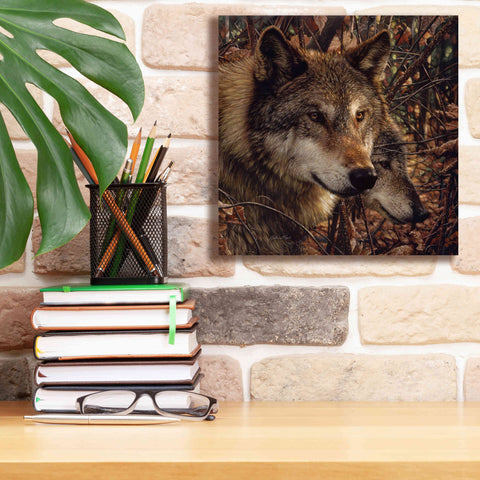 Image of 'Colors of Autumn' by Collin Bogle, Canvas Wall Art,12x12