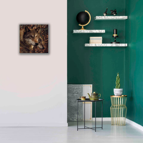 Image of 'Colors of Autumn' by Collin Bogle, Canvas Wall Art,18x18