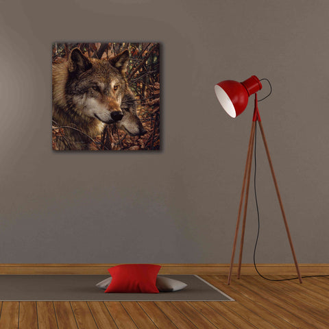 Image of 'Colors of Autumn' by Collin Bogle, Canvas Wall Art,26x26