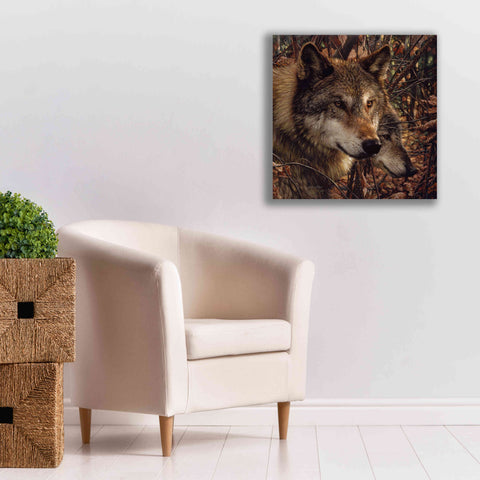 Image of 'Colors of Autumn' by Collin Bogle, Canvas Wall Art,26x26