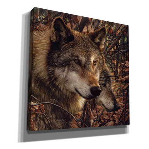 Image of 'Colors of Autumn' by Collin Bogle, Canvas Wall Art,Size 1 Square