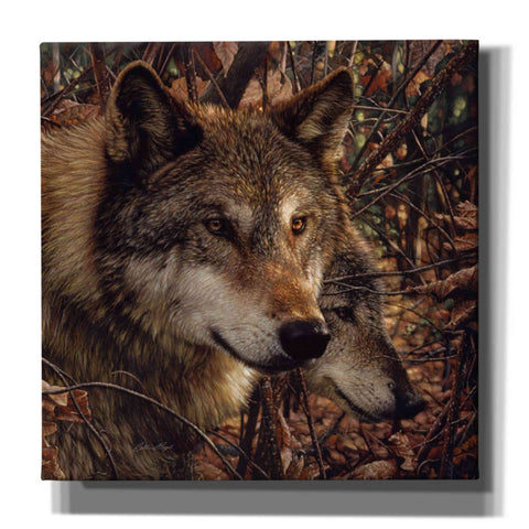 Image of 'Colors of Autumn' by Collin Bogle, Canvas Wall Art,Size 1 Square