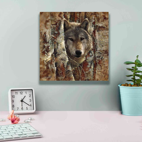 Image of 'Wolf Spirit' by Collin Bogle, Canvas Wall Art,12x12