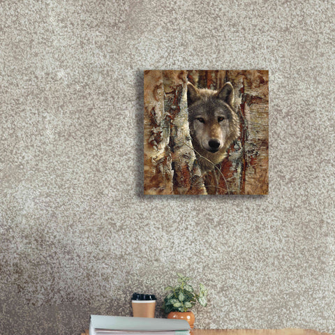 Image of 'Wolf Spirit' by Collin Bogle, Canvas Wall Art,18x18