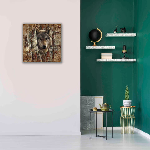 Image of 'Wolf Spirit' by Collin Bogle, Canvas Wall Art,26x26