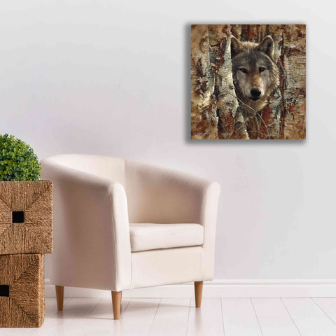 Image of 'Wolf Spirit' by Collin Bogle, Canvas Wall Art,26x26
