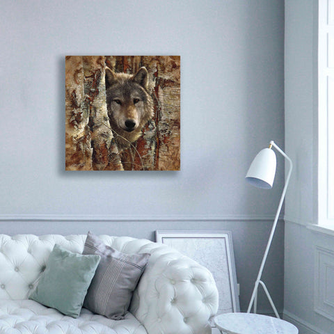 Image of 'Wolf Spirit' by Collin Bogle, Canvas Wall Art,37x37