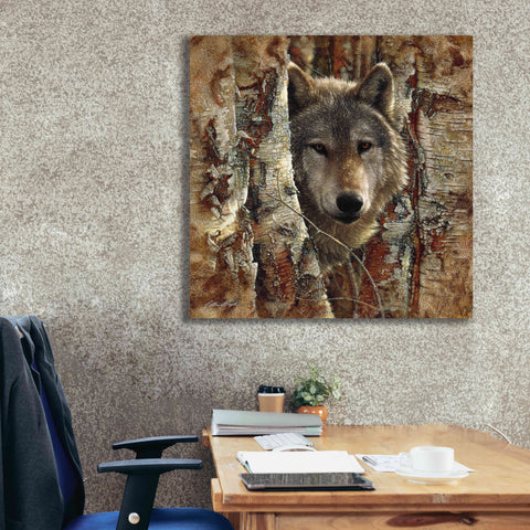 Image of 'Wolf Spirit' by Collin Bogle, Canvas Wall Art,37x37