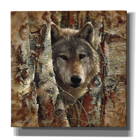 Image of 'Wolf Spirit' by Collin Bogle, Canvas Wall Art,Size 1 Square