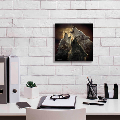 Image of 'Wolf Trinity' by Collin Bogle, Canvas Wall Art,12x12