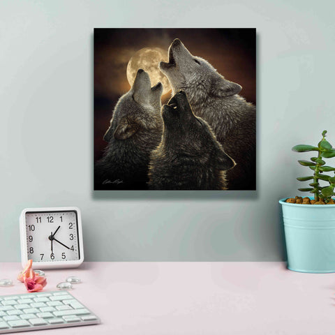 Image of 'Wolf Trinity' by Collin Bogle, Canvas Wall Art,12x12