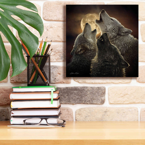 Image of 'Wolf Trinity' by Collin Bogle, Canvas Wall Art,12x12